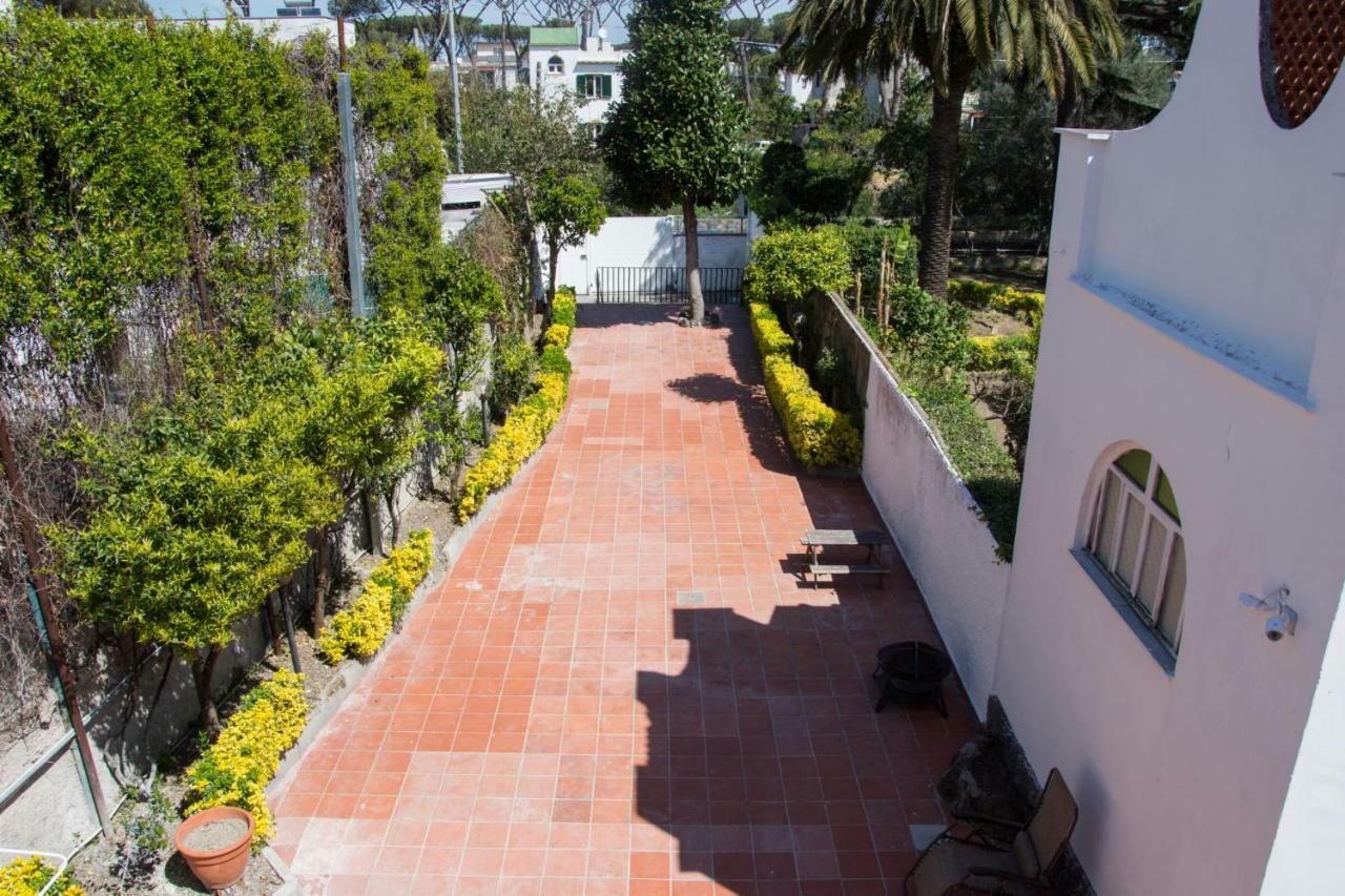 Villa Matilda Luxury B&B Ischia Dış mekan fotoğraf